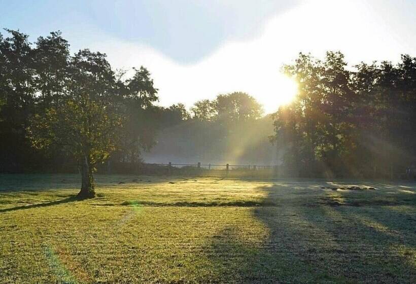 Landhotel Linden Am Venekotensee