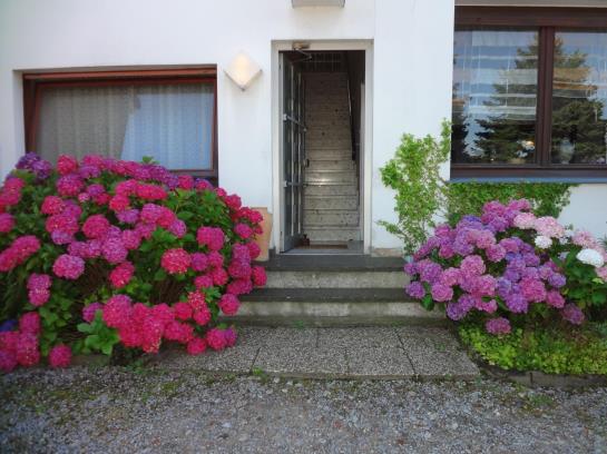 펜션 Landgasthof Auf Dem Brink