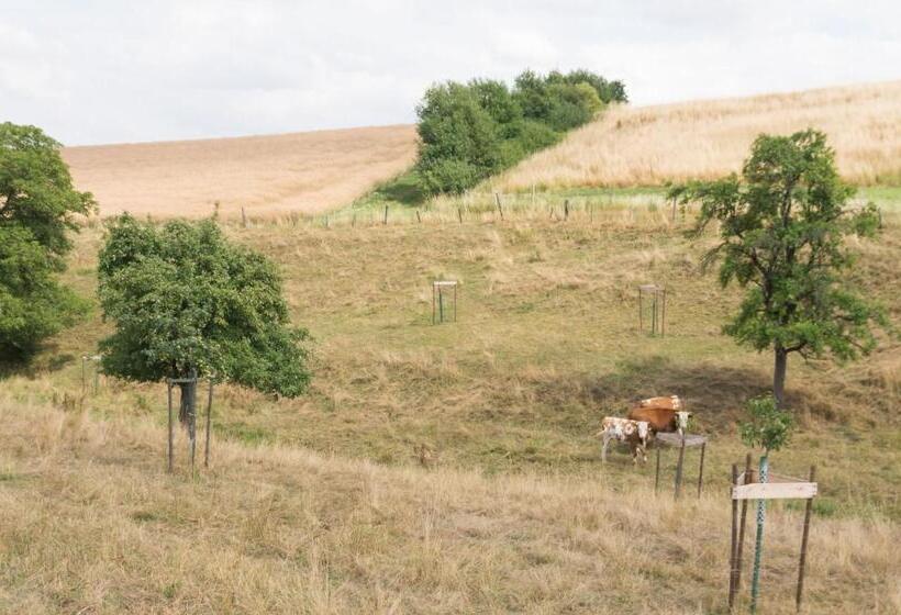 فندق Landhaus Thome