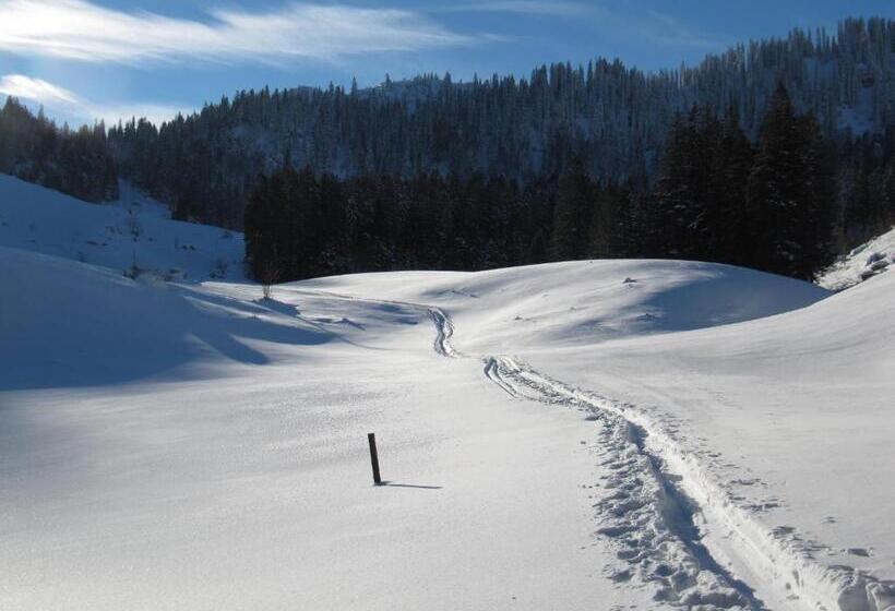 Отель Pension Ostler