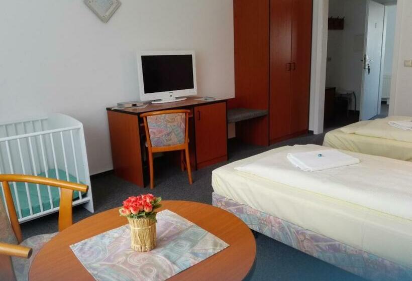 Отель Quernetal