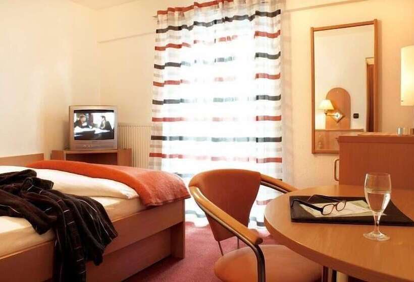 ホテル Rose Heidelberg Inklusive Frühstück & Saunanutzung