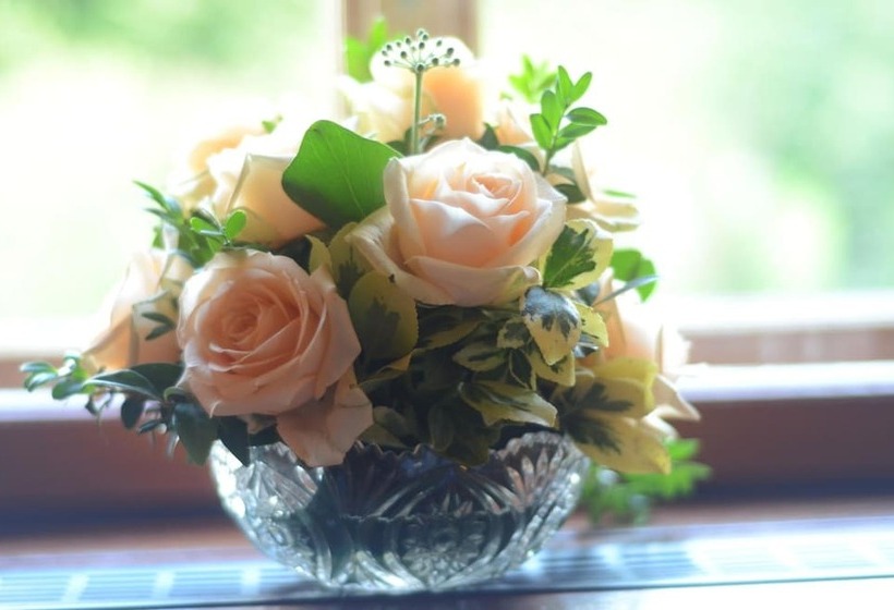 בית מלון כפרי Schloss Herberge Hohenerxleben