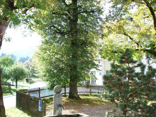 Отель Schloßwirt