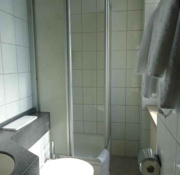 호텔 Schweizer Hof