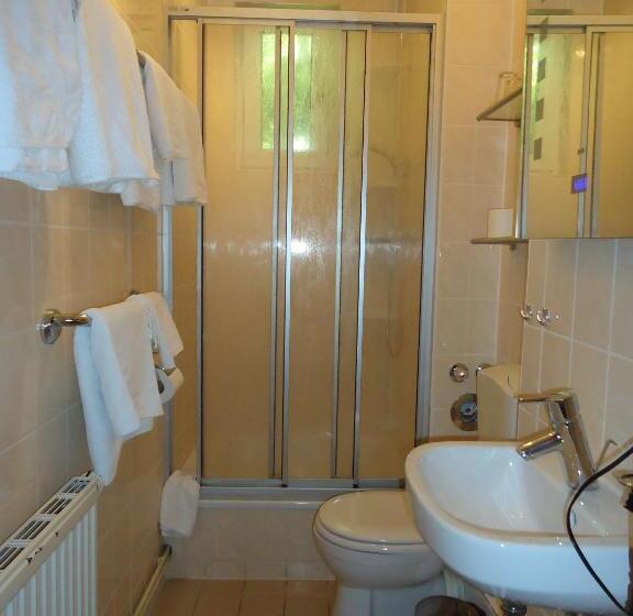 호텔 Schweizer Hof