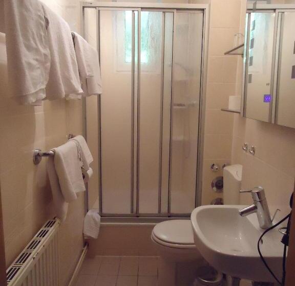 호텔 Schweizer Hof