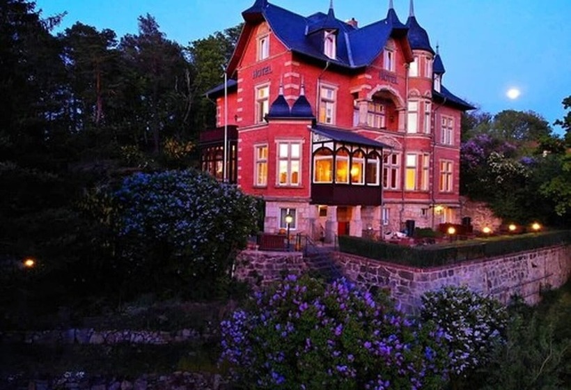 Отель Villa Viktoria Luise