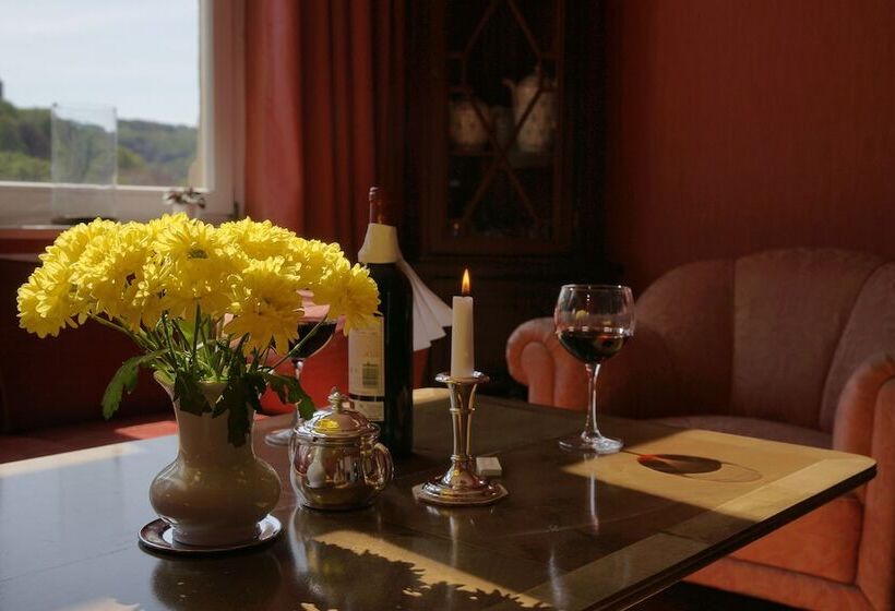 Отель Villa Viktoria Luise