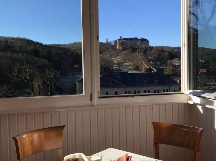 Отель Villa Viktoria Luise