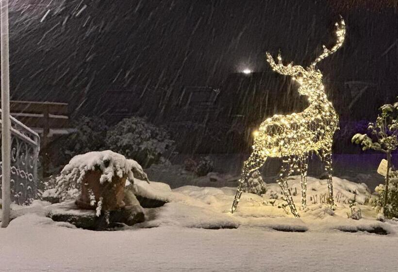 호텔 Restaurant Waldschlößchen