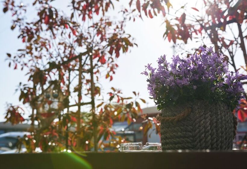 酒店 Zum Eisenhammer