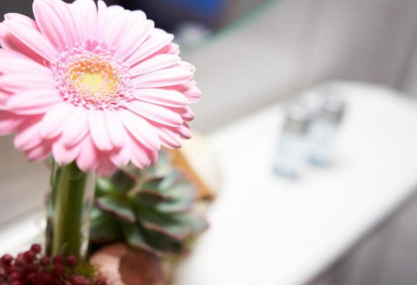 酒店 Zum Eisenhammer