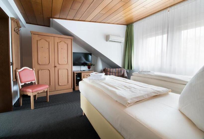 酒店 Zum Eisenhammer