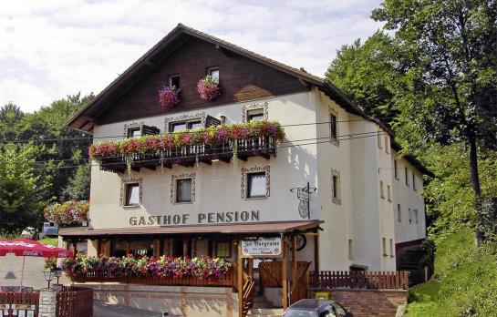 ホテル Gasthof Zur Burgruine