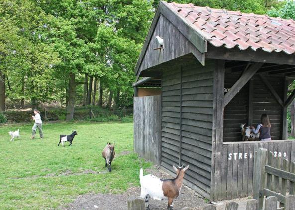 Landgut Hotel Ritter