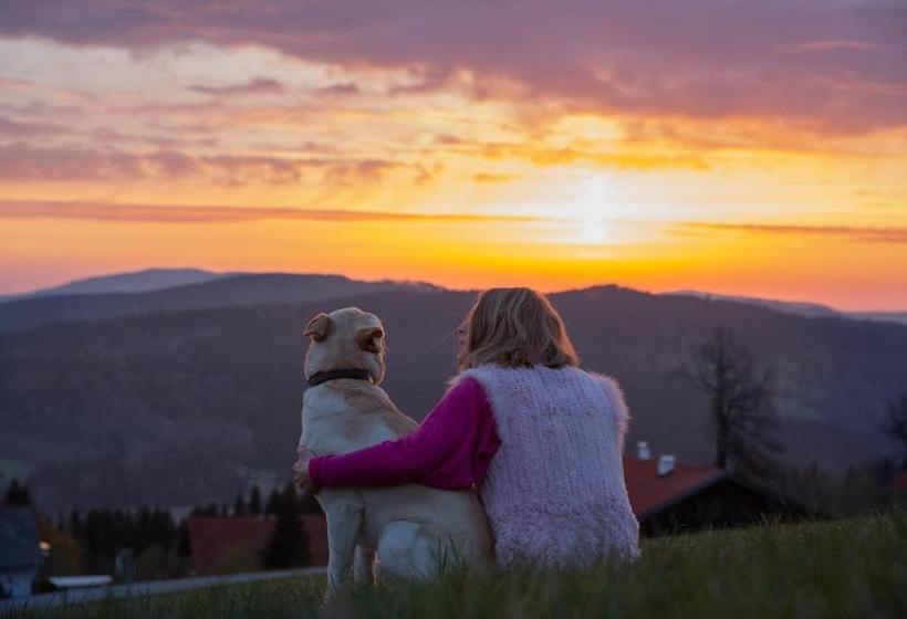 호텔 Hunderesort Waldeck Urlaub Mit Hund Superior