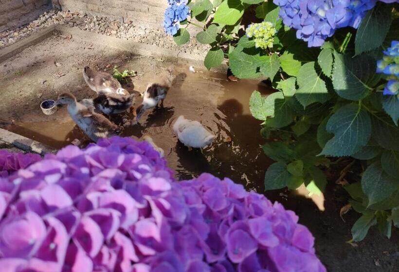 Landhotel Zum Hasen Hein