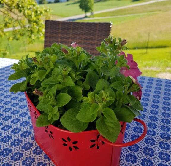 펜션 Berg Hotel Weingarten Garni