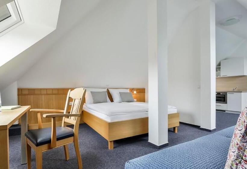 پانسیون Dorint Parkhotel Siegen