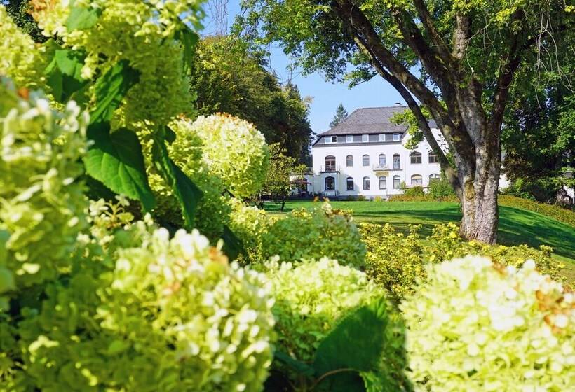 پانسیون Dorint Parkhotel Siegen