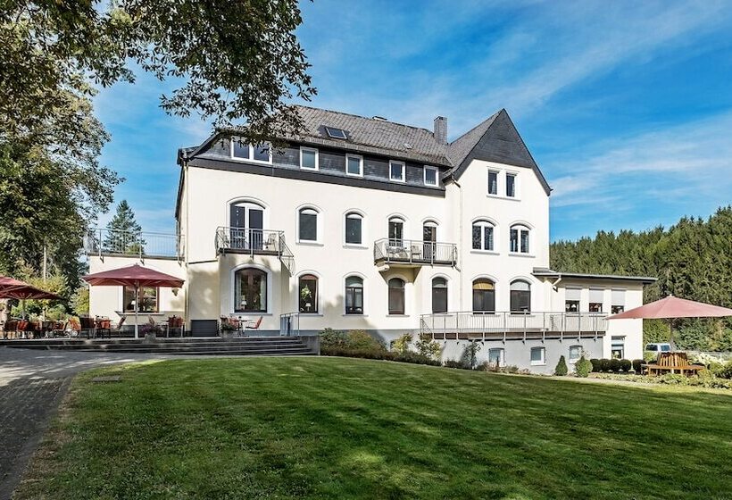 پانسیون Dorint Parkhotel Siegen