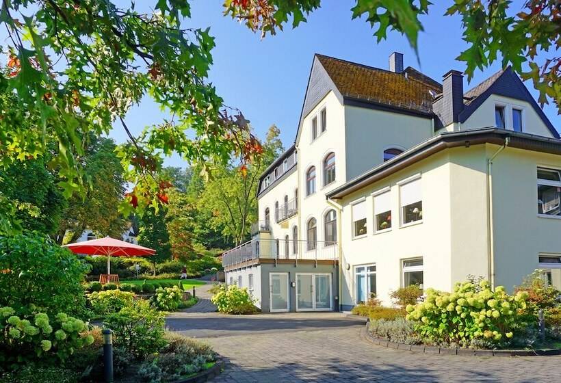 پانسیون Dorint Parkhotel Siegen