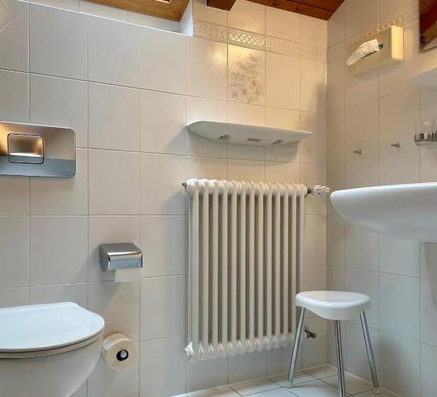 膳宿费 Gasthof Adler