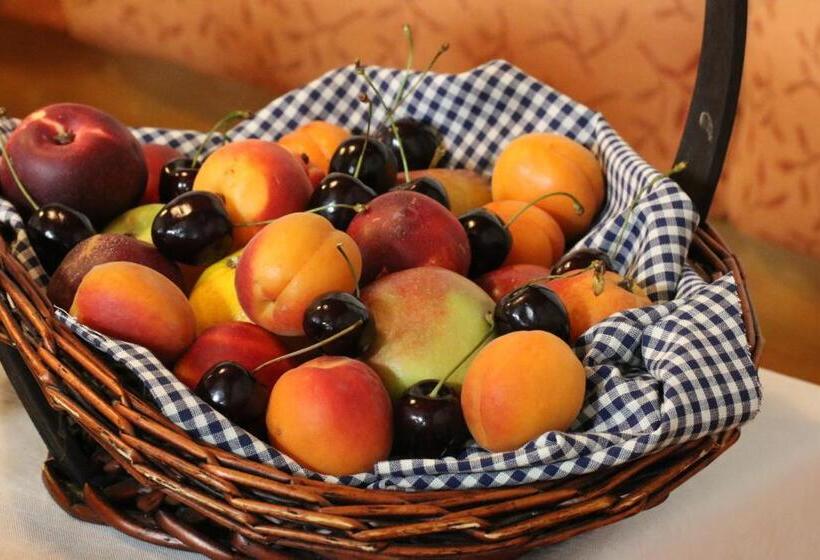 膳宿费 Gasthof Adler