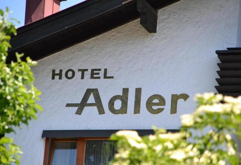 膳宿费 Gasthof Adler