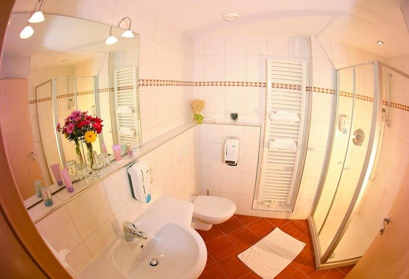 펜션 Gasthof Messerschmied