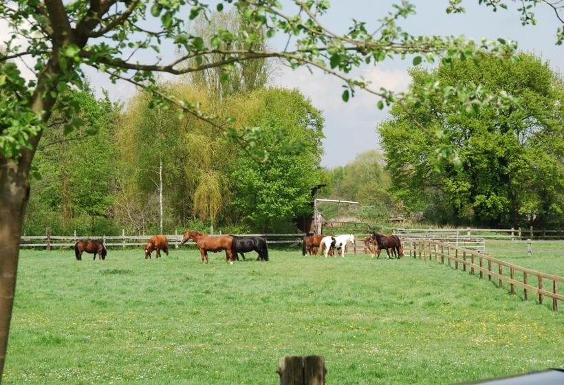 پانسیون Landgasthof Pleister Muhle