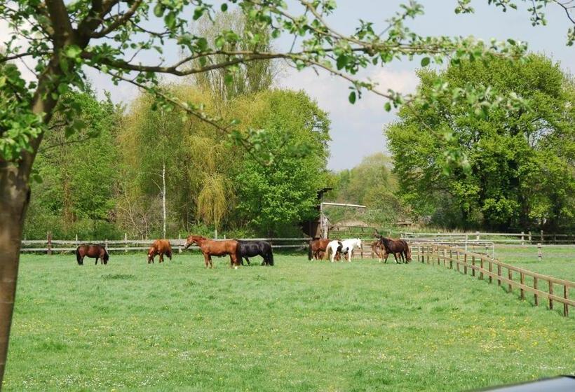 پانسیون Landgasthof Pleister Muhle