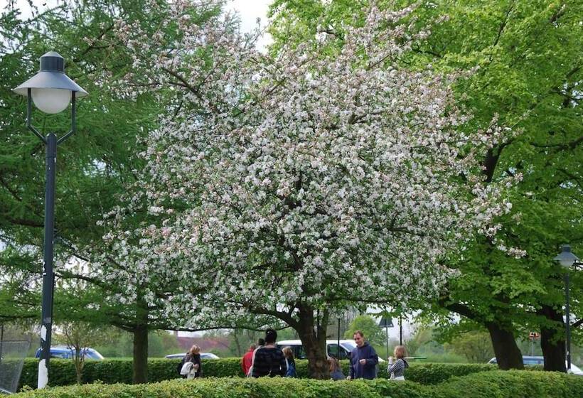 پانسیون Landgasthof Pleister Muhle