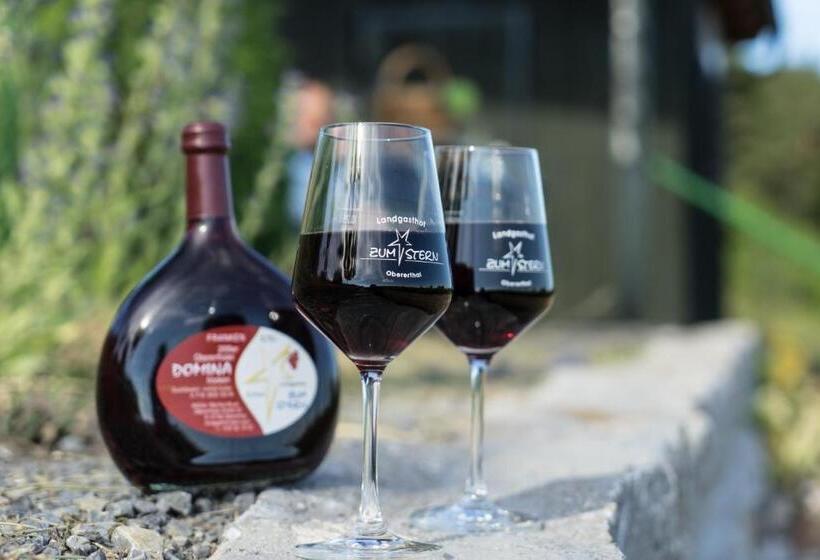 펜션 Landgasthof Zum Stern