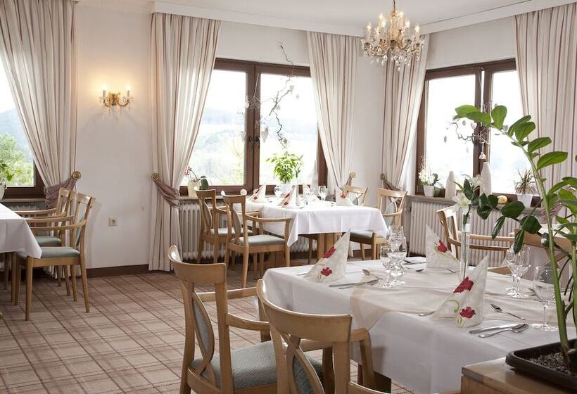 Wald Hotel Willingen