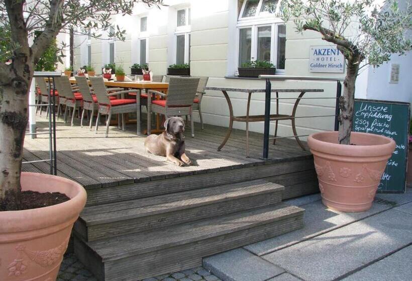 Akzent Hotel Goldner Hirsch