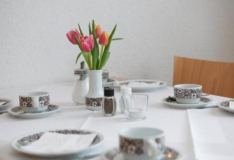 Alpha Apparthotel Leipzig Rötha