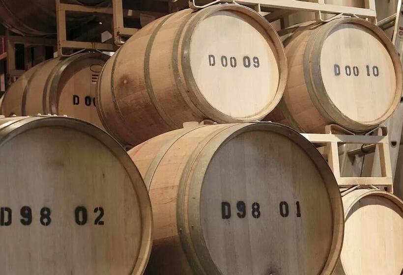 住宿加早餐  Pension Winzerhaus Haas Lenz Zell Mosel