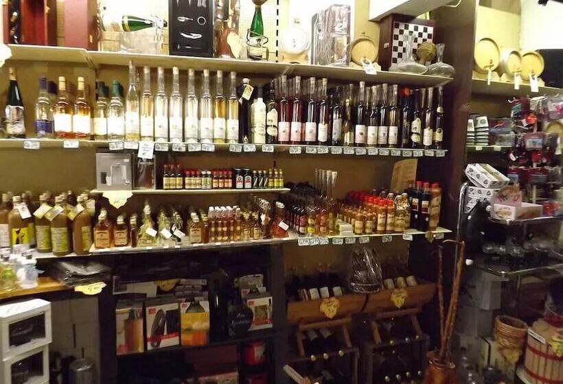 住宿加早餐  Pension Winzerhaus Haas Lenz Zell Mosel