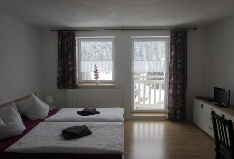 住宿加早餐 Greizer Kammhütte Gaststätte & Pension