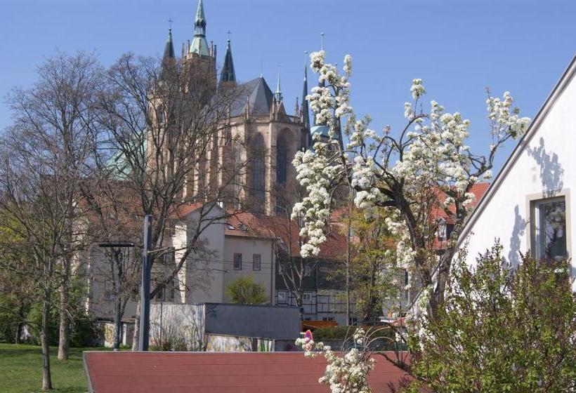 צימר Pension Am Dom