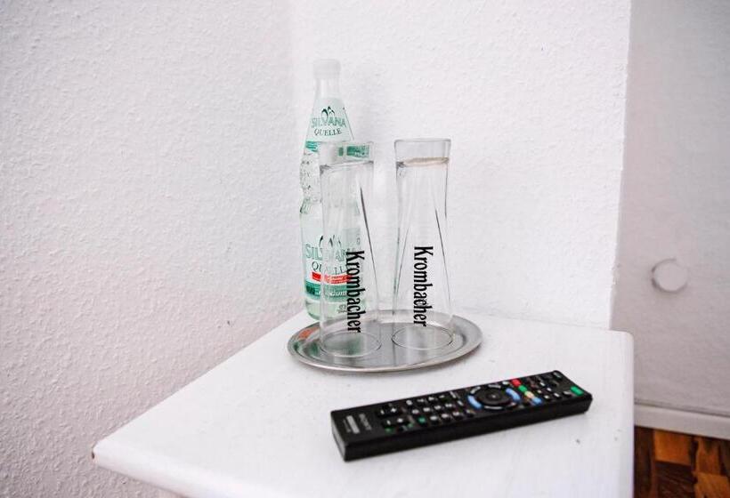 مبيت وإفطار Pension Bertha