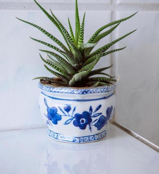 مبيت وإفطار Pension Bertha