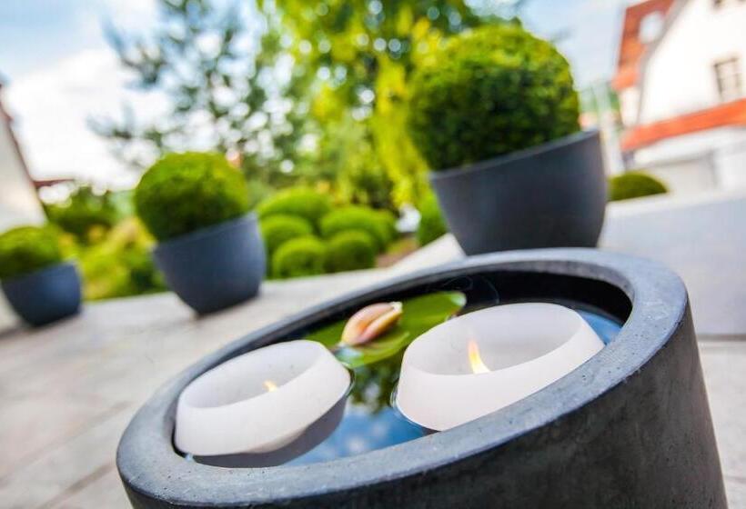 Boutique Hotel Villa Anna