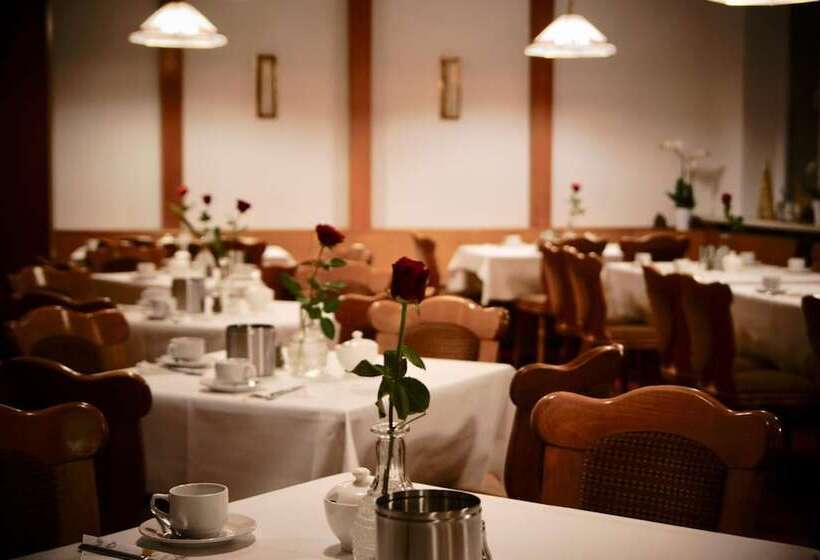 Central Hotel Torgau