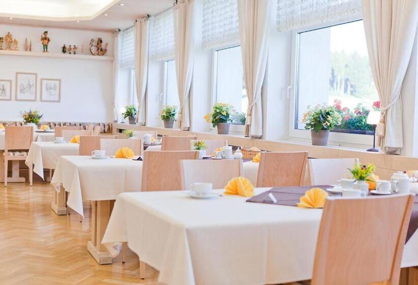 Ferienhotel Mühlleithen