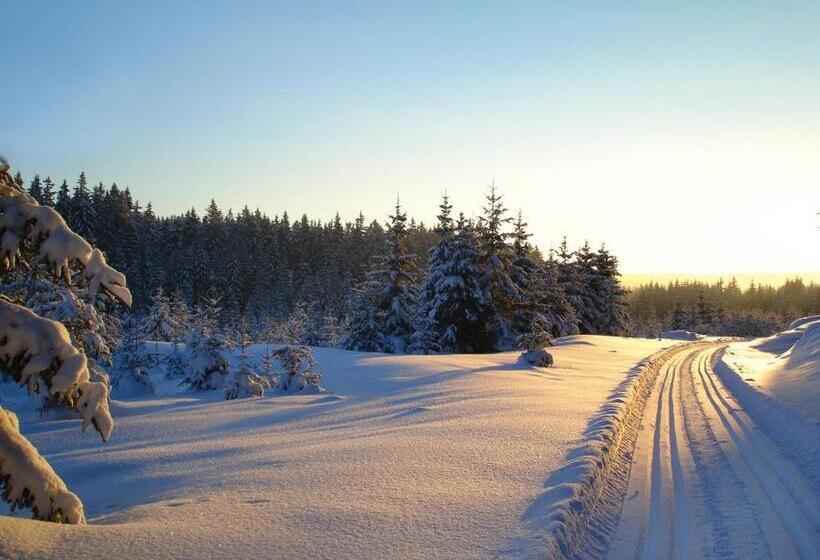 Ferienhotel Mühlleithen