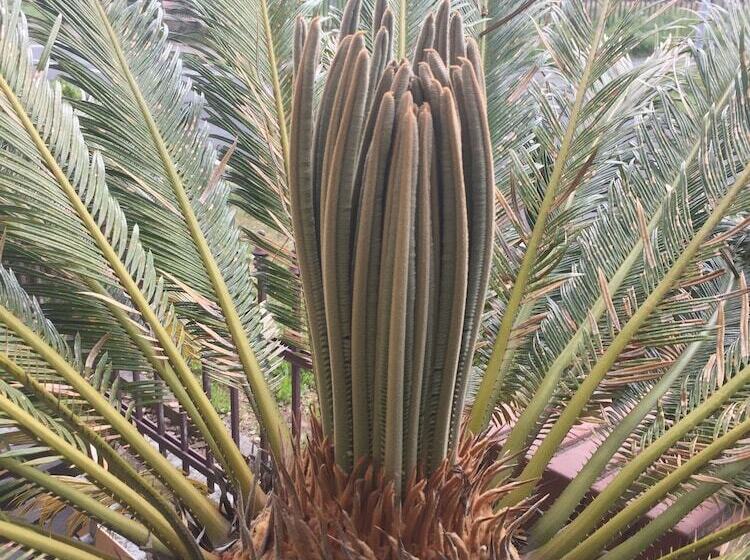 ホテル Bb Bahnhof Bertsdorf