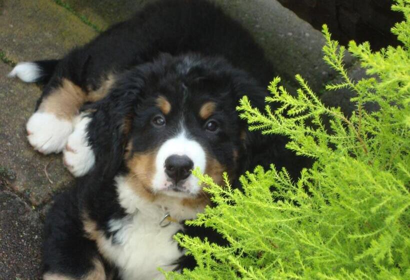 호텔 Bergschlößchen